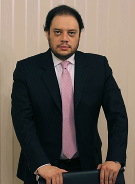 Perfil de nuestros servicios de letigio